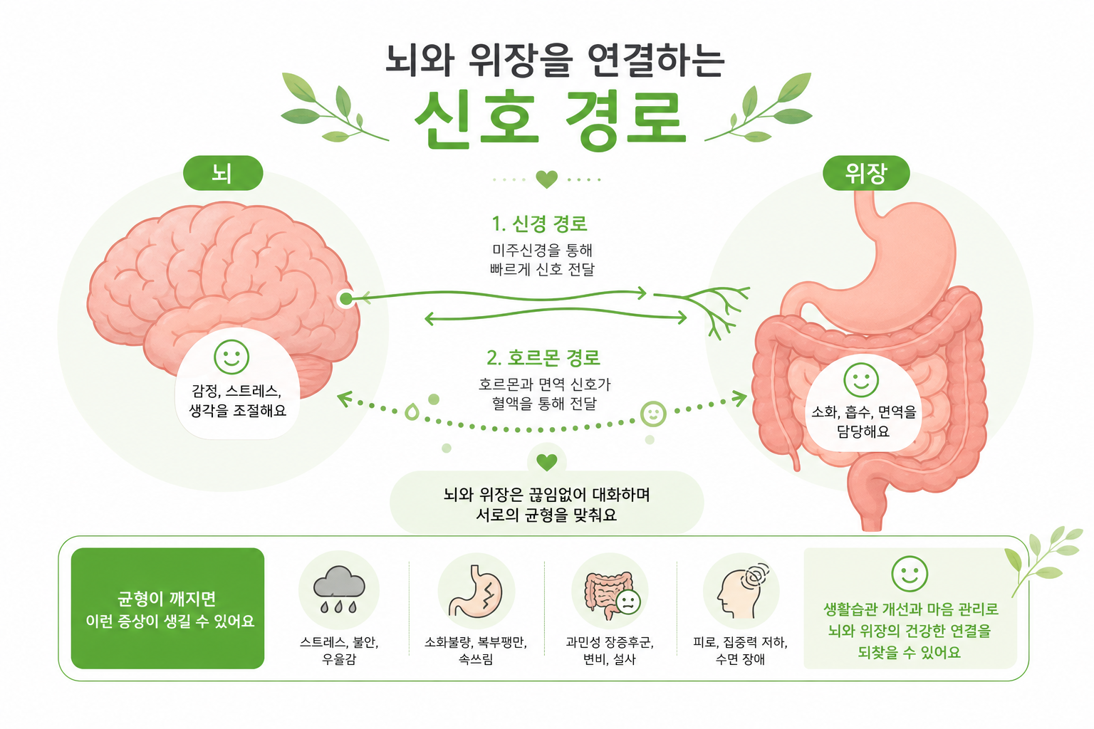뇌와 위장을 연결하는 신호 경로를 단순하고 친근하게 표현한 인포그래픽 스타일 일러스트 이미지