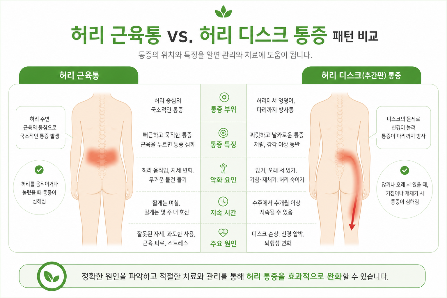 허리 근육통과 허리디스크의 통증 패턴을 좌우로 비교한 심플 비교표 스타일 이미지 운전 허리 통증 이미지