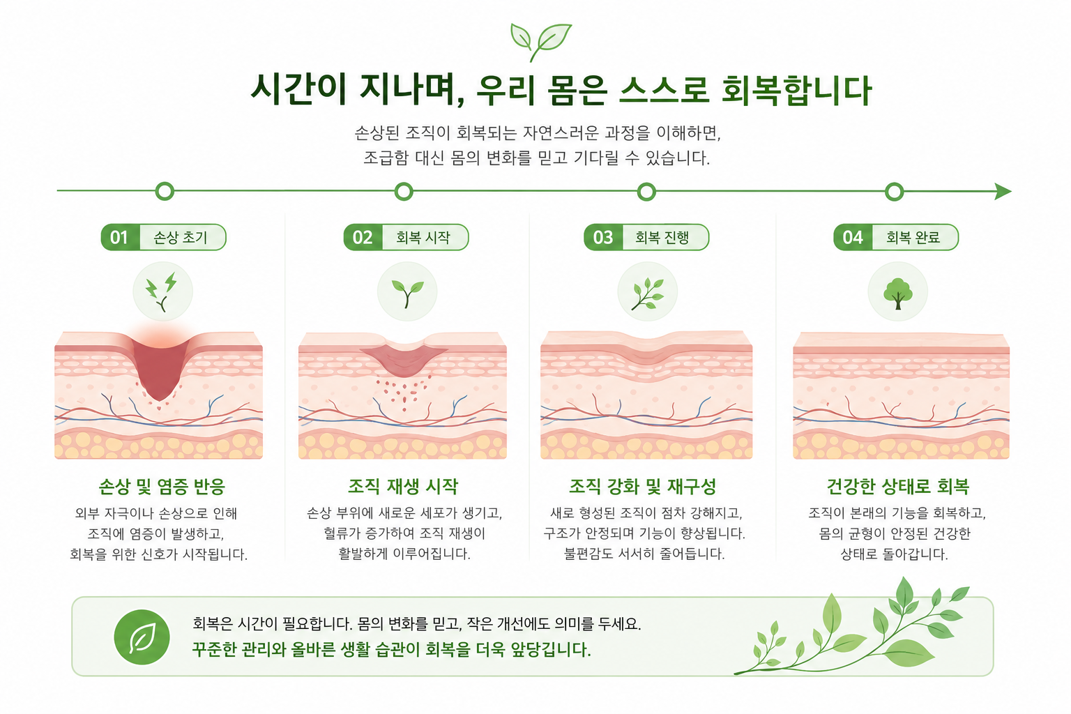 시간 경과에 따라 조직이 서서히 회복되는 과정을 보여주는 타임라인형 일러스트 교통사고 합의 시기 이미지