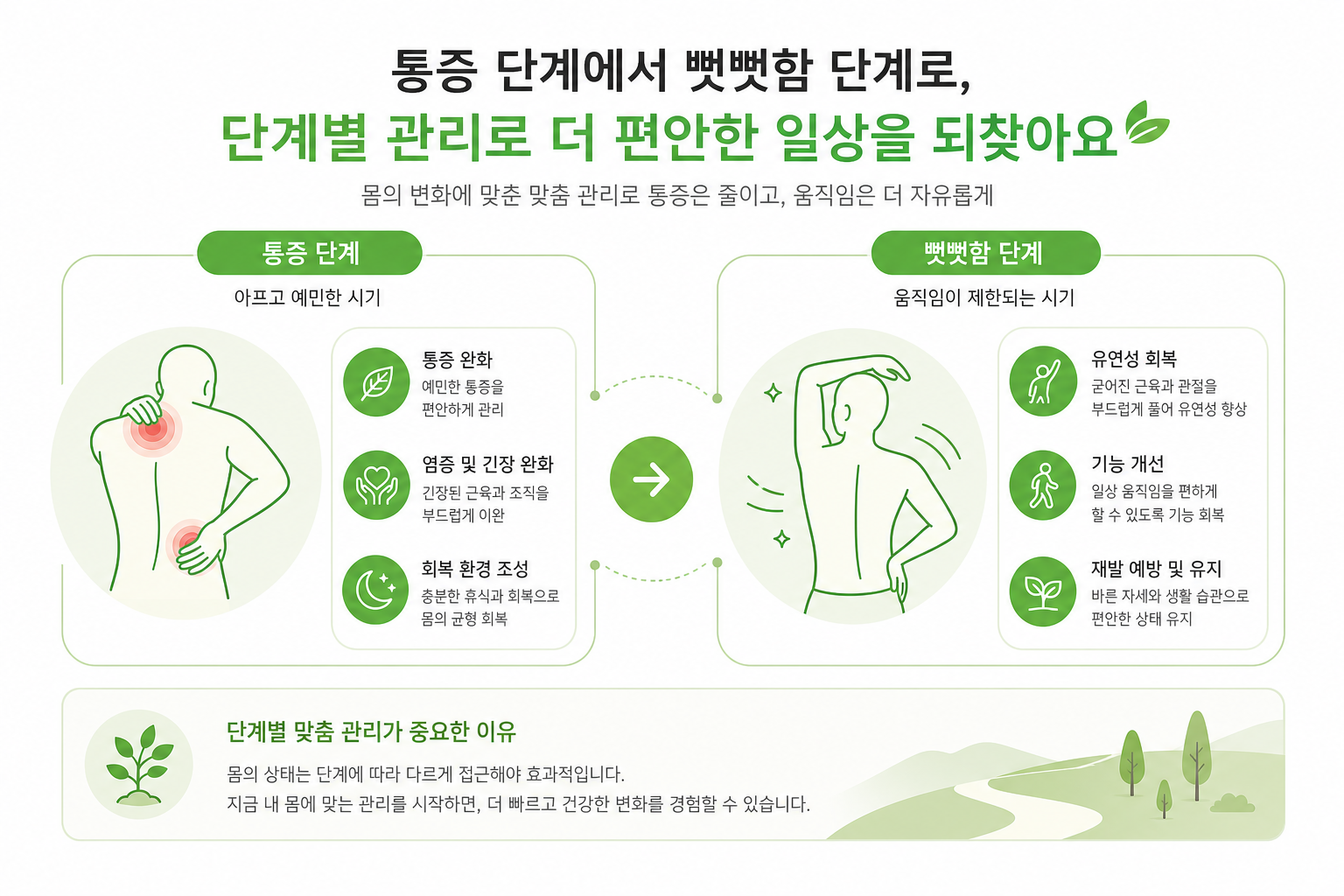 통증기와 강직기 단계별 관리 흐름을 은은하게 보여주는 개념 이미지 오십견 저절로 낫나요 이미지