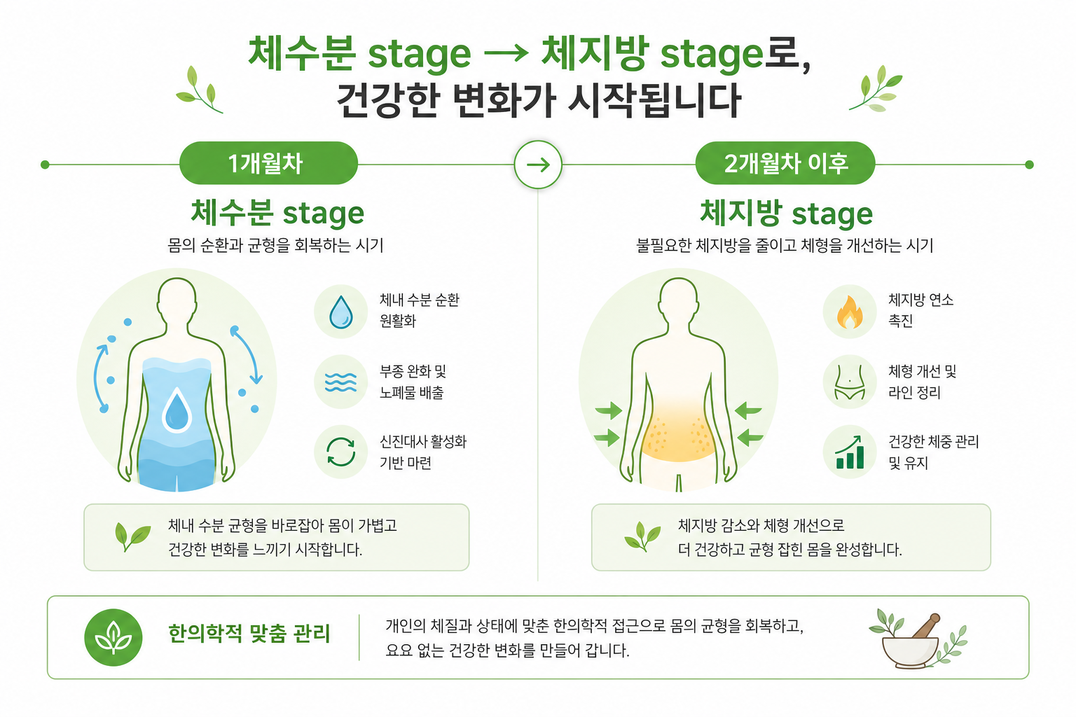 1개월차와 2개월차 이후를 좌우로 나눈 타임라인형 인포그래픽 체수분 단계 → 체지방 단계 흐름 강조 다이어트 한약 복용 기간 이미지