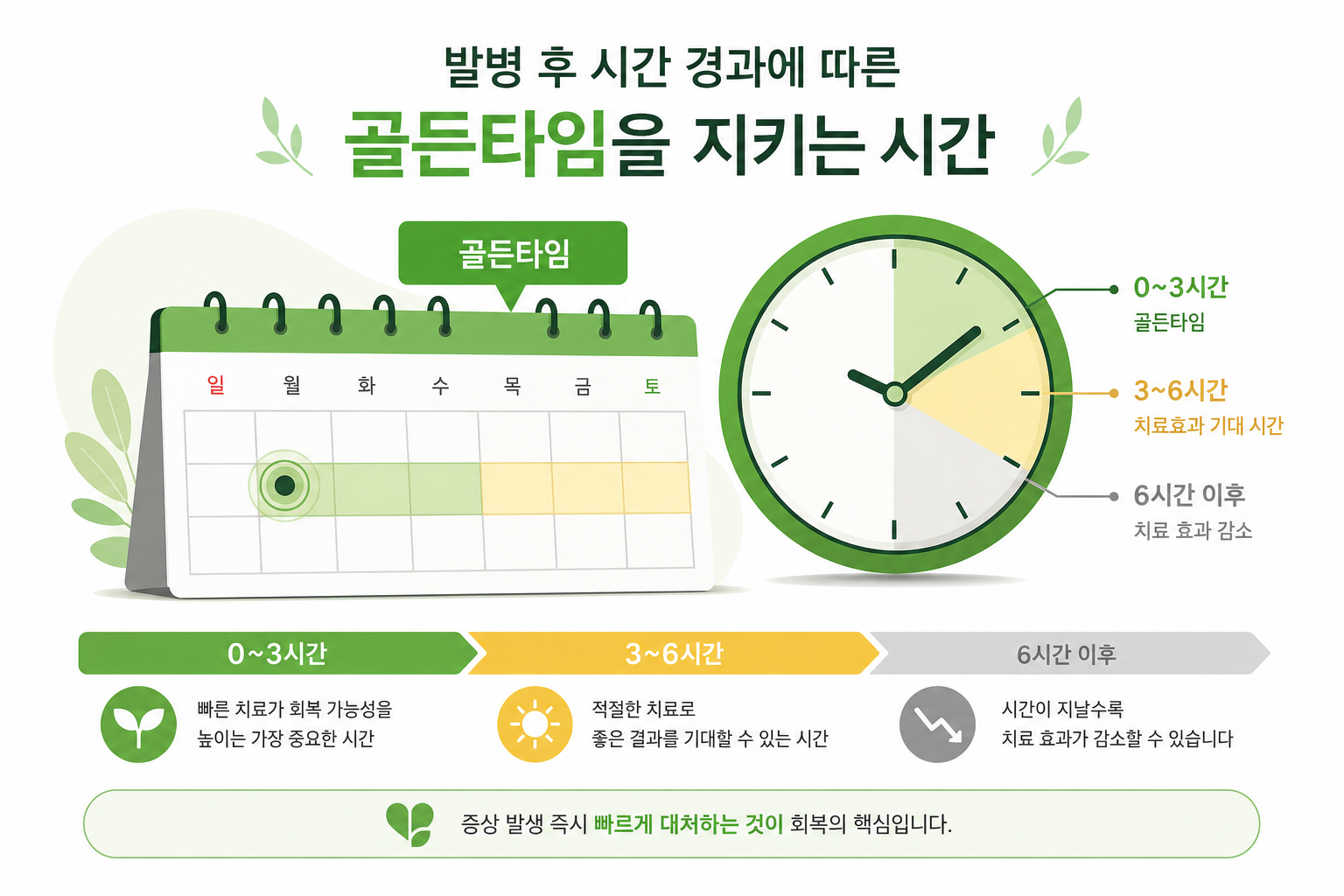발병 후 시간 경과에 따른 골든타임 구간을 표시한 캘린더/시계 개념 이미지 안면마비 회복 기간 이미지